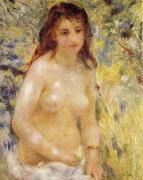 Pierre-Auguste Renoir The female nude under the sun Spain oil painting artist